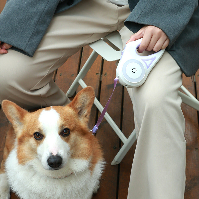 Dog Leash Retractable Automatic Pet Dog Cat Traction Rope